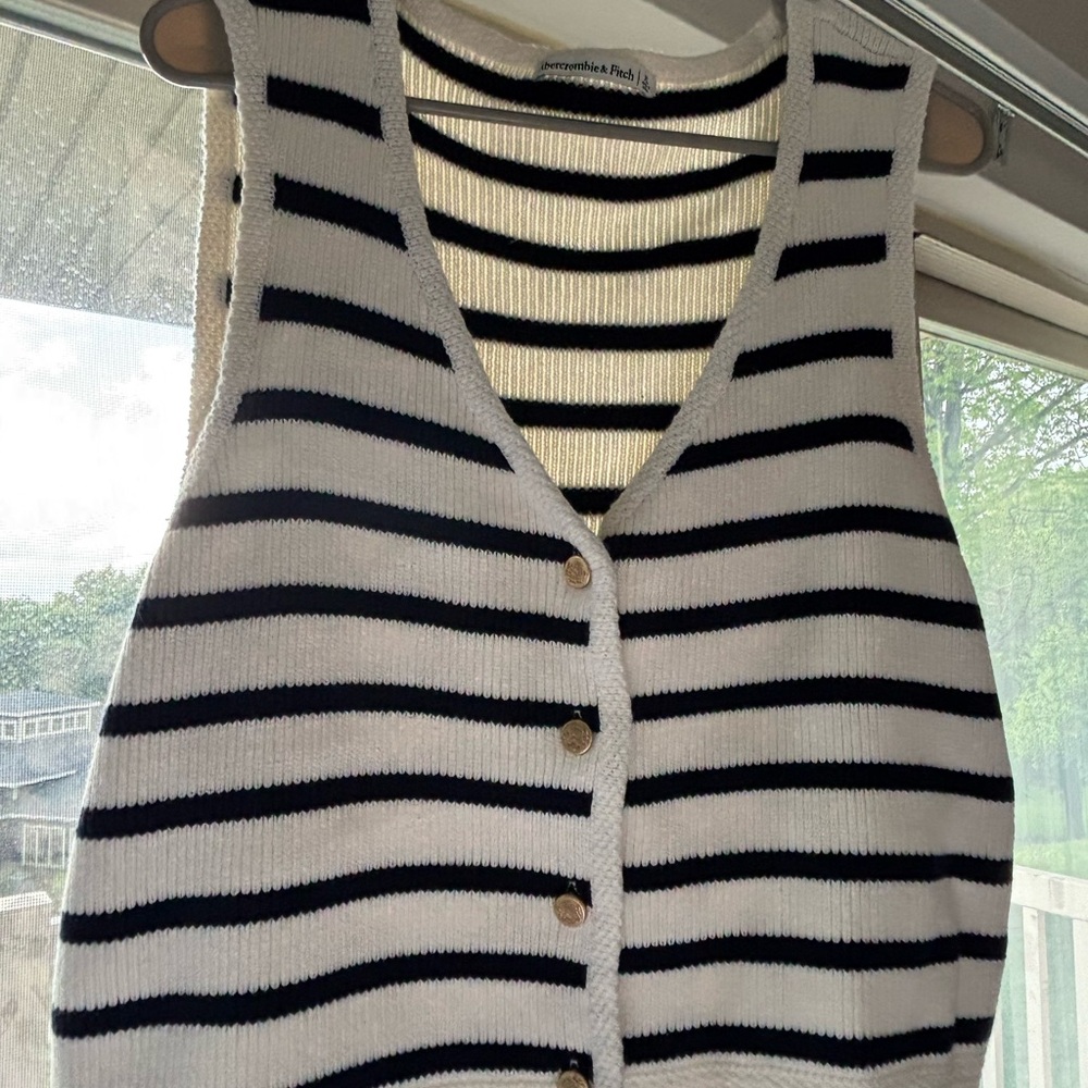 Abercrombie Striped Knit Button-Up Vest